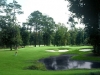 arcadian2