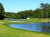 wedgefield10