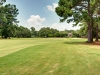 wedgefield6