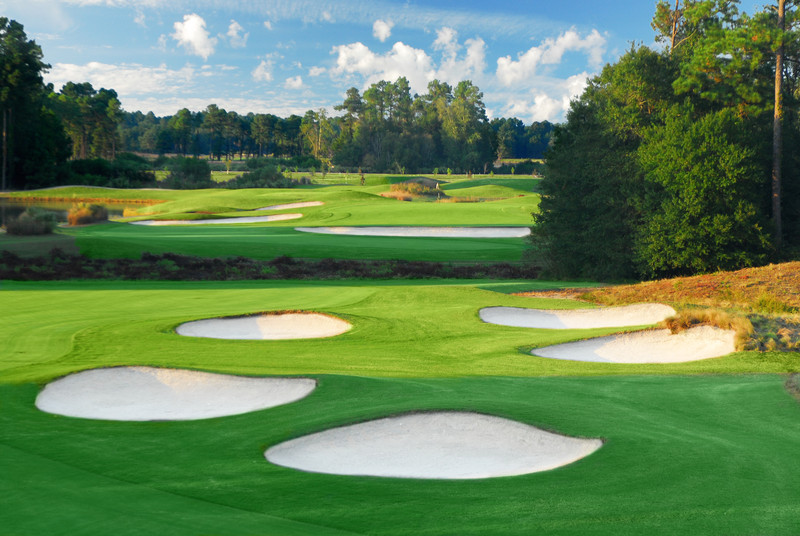Wild Wing Avocet Golf Course Conway Golf Course Myrtle Beach