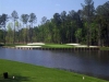 arrowhead3