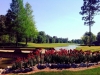 arrowhead4