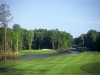 arrowhead8