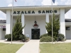 azalea5