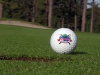 beachwood3