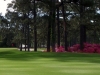 beachwood4