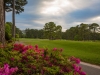 beachwood5