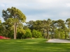 beachwood6