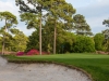 beachwood7