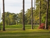 beachwood8