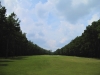crown9