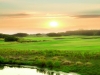 heathland1