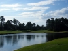 heathland2