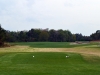 heathland4