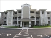 colony-oyster-bay-1