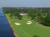 palmetto1