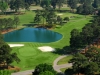 palmetto3