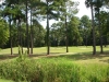 riveroaks4