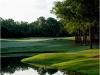 maples3