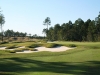 maples6