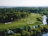 maples7