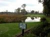 willbrook5 willbrook5