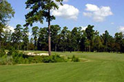 Whispering Pines