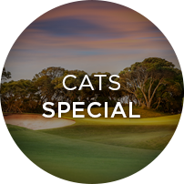 CATS Special