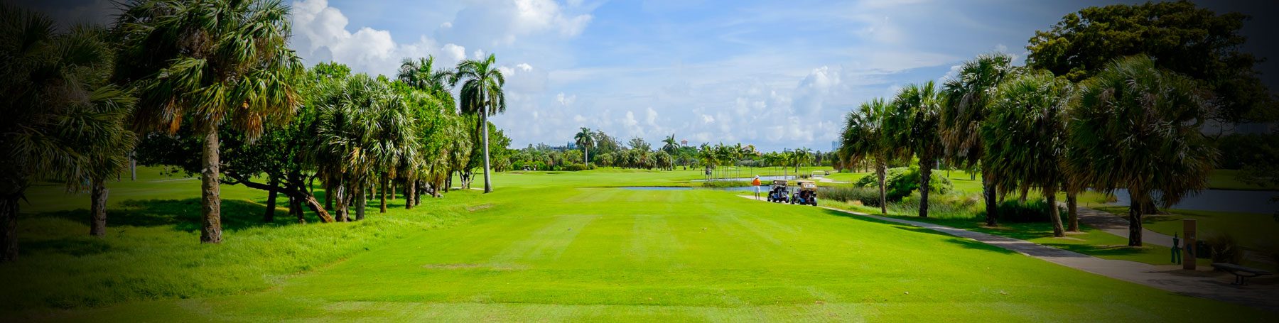 Meet the Golfmasters