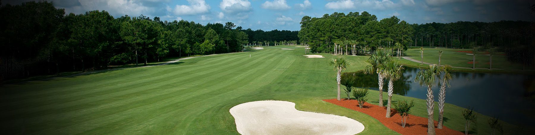 The International Club